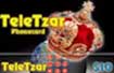 TeleTzar Prepaid phone Card