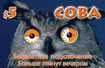 Night Owl - Sova buy online